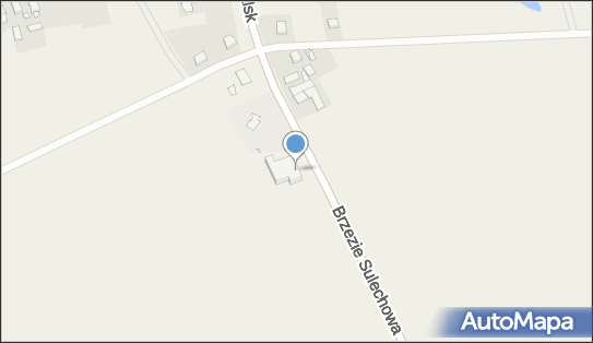 Texicana Marek Piątek, Kalsk 1E, Kalsk 66-100 - Przedsiębiorstwo, Firma, NIP: 9270004320