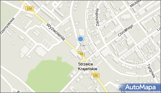 TISI, Okrężna 3, Strzelce Krajeńskie 66-500 - Przedsiębiorstwo, Firma, NIP: 5992639623