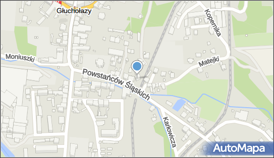 Tłumacz Przysięgły Dittmann, Powstańców Śląskich 13 48-340 - Przedsiębiorstwo, Firma, NIP: 7551391224