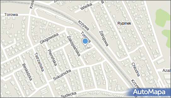 Tłumik-Car, ul. Chochołowska 1, Kalisz 62-800 - Przedsiębiorstwo, Firma, NIP: 6180029013