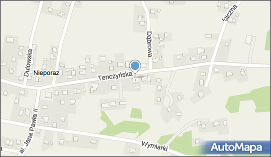 Tom Trans 2, Tenczyńska 29, Regulice 32-566 - Przedsiębiorstwo, Firma, NIP: 6282255285