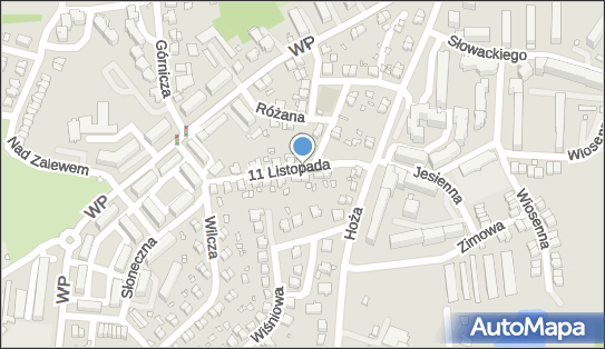 Tomasz Buczko Tenis, 11 Listopada 5, Złotoryja 59-500 - Przedsiębiorstwo, Firma, NIP: 6941676336