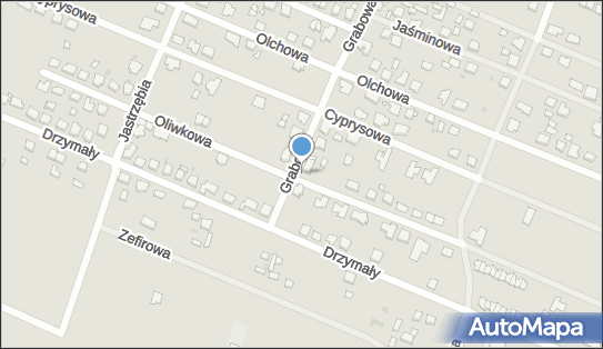 Tomasz Budkiewicz Olja Projekt, Oliwkowa 29, Ostrów Wielkopolski 63-400 - Przedsiębiorstwo, Firma, NIP: 6221337882