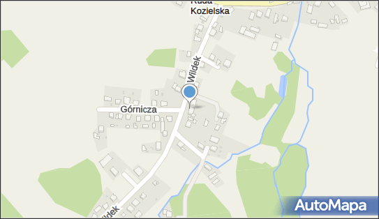 Tomasz Drazik, Usługi Geodezyjne, Wildek 27, Ruda Kozielska 47-430 - Przedsiębiorstwo, Firma, NIP: 6391145880