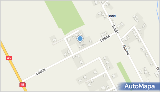 Tomasz Gonsiorowski, Leśna 20, Mechnica 47-214 - Przedsiębiorstwo, Firma, NIP: 7492099923