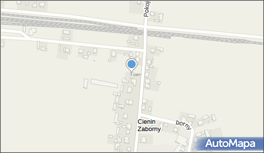 Tomasz Janicki Avalon Polska Tomasz Janicki, Cienin Zaborny 55 62-400 - Przedsiębiorstwo, Firma, NIP: 6671526844