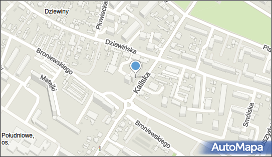 Tomasz Jaśkiewicz Sklep Zoologiczny Reksio, ul. Kaliska 58 87-800 - Przedsiębiorstwo, Firma, NIP: 8881447572