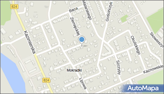 Tomasz Litwiński - Działalność Gospodarcza, Klonowa 16, Puławy 24-100 - Przedsiębiorstwo, Firma, NIP: 7162252190