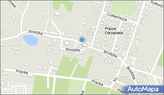 8991095878, Tomasz Miśkiewicz 