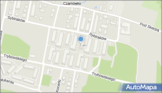 8762311010, Tomasz Puton 