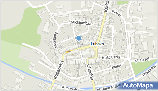 Tomasz Sałbut, Sienkiewicza Henryka 2, Lubsko 68-300 - Przedsiębiorstwo, Firma, NIP: 9730634443