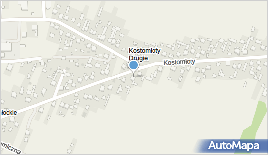 Tomasz Snoch, ul. Starowiejska 143, Kostomłoty Drugie 26-085 - Przedsiębiorstwo, Firma, NIP: 9591548986