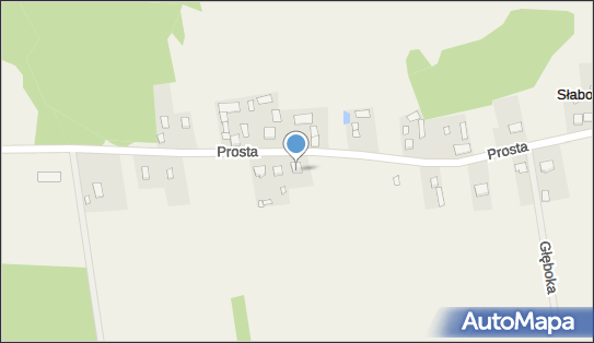 Tomasz Soból - Działalność Gospodarcza, ul. Prosta 95 96-325 - Przedsiębiorstwo, Firma, NIP: 8381051055