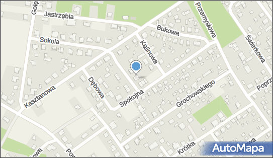 Tomasz Szabelski - Działalność Gospodarcza, ul. Jarzębinowa 3 85-061 - Przedsiębiorstwo, Firma, NIP: 9531472825