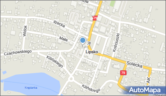 Tomczyk Mirosława Maria, Rynek 22, Lipsko 27-300 - Przedsiębiorstwo, Firma, numer telefonu, NIP: 8111160604
