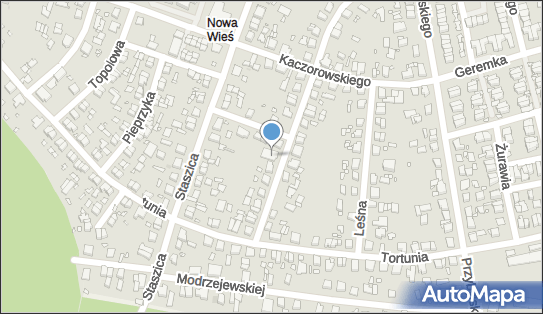 Tomnet Tomasz Flis, ul. gen. Józefa Bema 36, Swarzędz 62-020 - Przedsiębiorstwo, Firma, NIP: 7791091148