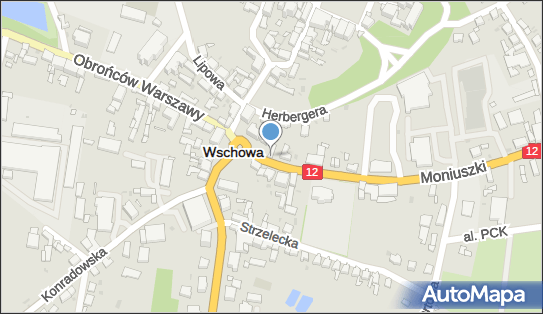 Top Auto, ul. Moniuszki 2, Wschowa 67-400 - Przedsiębiorstwo, Firma, NIP: 6971445771