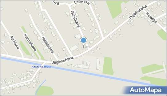 7491145526, Top-Rent Najem Samochodów i Nieruchomości Bożena Dragan 