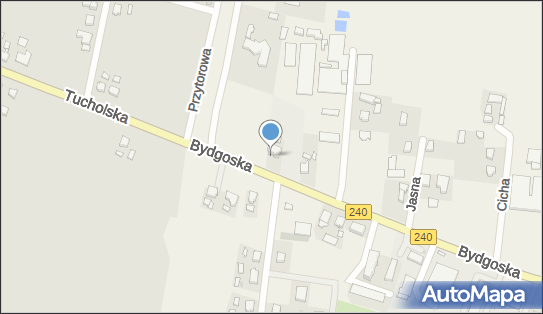 Torotrans Transport Międzynarodowy i Krajowy Spedycja, Bydgoska 1 89-620 - Przedsiębiorstwo, Firma, numer telefonu, NIP: 5550008972