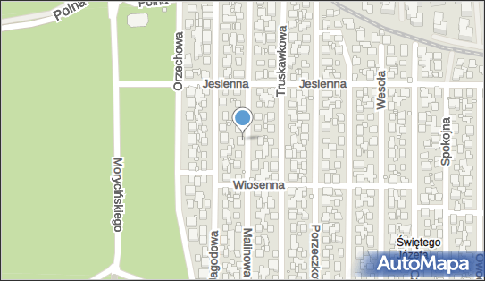 9562306542, Torsani Wojciech Gawłowicz 