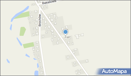 Towarowy Transport Samochodowy, Brochów 91A, Brochów 05-088 - Przedsiębiorstwo, Firma, numer telefonu, NIP: 5311019932