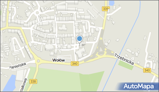 Towarz, Wołów, pl. Piastowski 1, Wołów 56-100 - Przedsiębiorstwo, Firma, numer telefonu, NIP: 9880164447