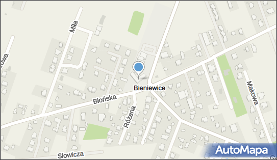 1181918534, Towarzystwo Pomocy Dzieciom Wiejskim 