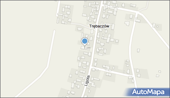 Towarzystwo Sympatyków Trębaczowa, Trębaczów 117, Trębaczów 63-642 - Przedsiębiorstwo, Firma, numer telefonu, NIP: 6192002801