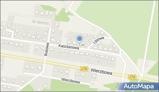 Traf- Wit Mateusz Trafas, ul. Kasztanowa 14, Dolaszewo 64-930 - Przedsiębiorstwo, Firma, NIP: 7642627879