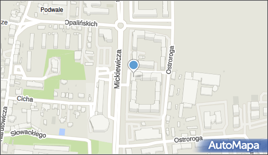 Trans Fair, ul. Jana Ostroroga 47, Leszno 64-100 - Przedsiębiorstwo, Firma, numer telefonu, NIP: 6972178852