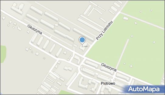 Trans Mark, Głuszyna 273, Poznań 61-329 - Przedsiębiorstwo, Firma, numer telefonu, NIP: 7811665843