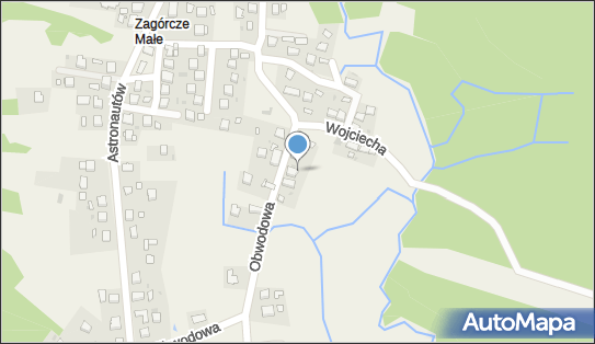 Trans Pilot Przewozy Krajowe i Zagraniczne, ul. Obwodowa 10, Żarki 32-593 - Przedsiębiorstwo, Firma, NIP: 6281006798