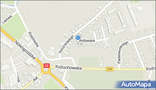 Trans-Podkidacz, Myśliwska 2, Żagań 68-100 - Przedsiębiorstwo, Firma, NIP: 9241893903