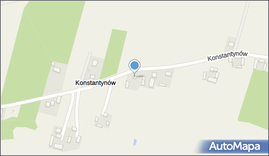 Trans Sped, Konstantynów 9, Konstantynów 62-511 - Przedsiębiorstwo, Firma, NIP: 6651929639