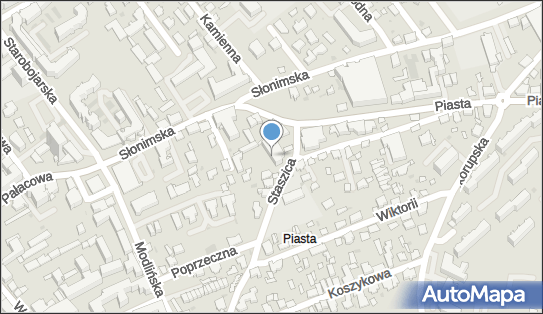 052132356, Trans-Tur Piotr Tur 