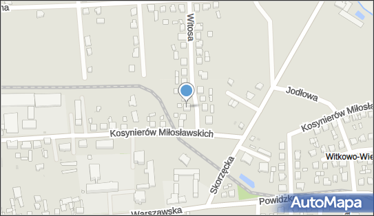 Trans Wip, ul. Wincentego Witosa 3, Witkowo 62-230 - Przedsiębiorstwo, Firma, numer telefonu, NIP: 6670007007