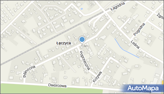 Transcar - Plus Dawid Wawrzyniak, Północna 30, Łęczyca 62-051 - Przedsiębiorstwo, Firma, NIP: 7773227666