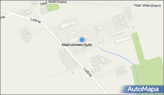 Transfer Team Polska, ul. Leśna 24, Niepruszewo 64-320 - Przedsiębiorstwo, Firma, numer telefonu, NIP: 7773217768