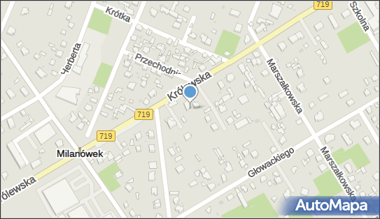 Translink Sp. z o.o., Królewska 105a, Milanówek 05-822 - Przedsiębiorstwo, Firma, numer telefonu