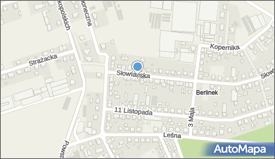 Transport Ciężarowy Włoszakowice, Słowiańska 51, Włoszakowice 64-140 - Przedsiębiorstwo, Firma, NIP: 6971442270