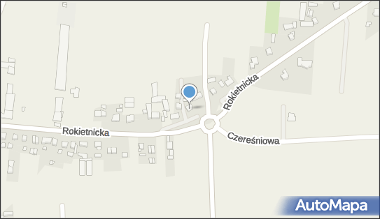 Transport Ciężarowy, Rokietnicka 43, Tarnowo Podgórne 62-080 - Przedsiębiorstwo, Firma, NIP: 9720118792