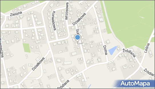 7771410567, Transport Ciężarowy Wasil Stanisław 