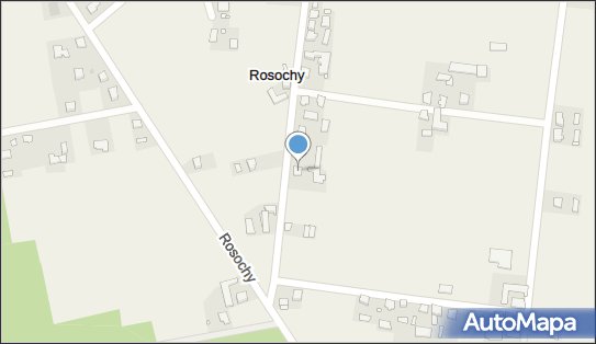 5761244913, Transport Drewna Dłużycy Roman Światowski 