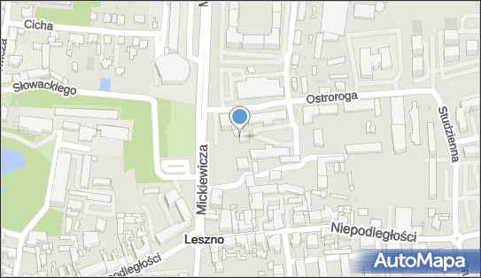 Transport Drogowy, ul. Antoniny 9, Leszno 64-100 - Przedsiębiorstwo, Firma, NIP: 6971606145