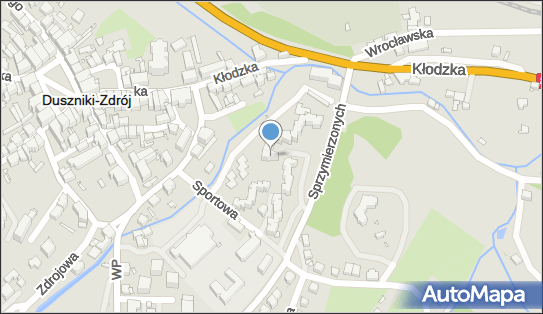 Transport Dzik Ryszard, ul. Sprzymierzonych 2/4/8, Duszniki-Zdrój 57-340 - Przedsiębiorstwo, Firma, NIP: 8831160733