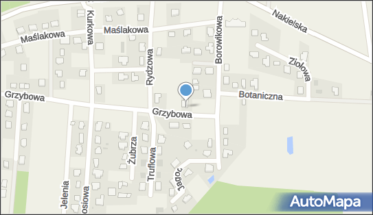 9671154485, Transport i Spedycja Mich-Trans Michał Olszewski 