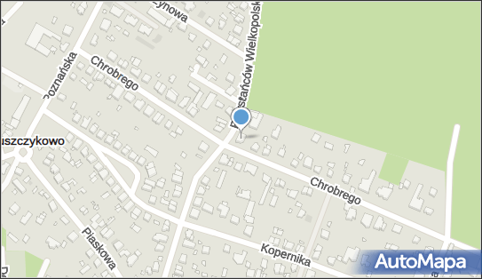 Transport i Spedycja Międzynarodowa Ryszard Pietz, Puszczykowo 62-041 - Przedsiębiorstwo, Firma, numer telefonu, NIP: 7772597705