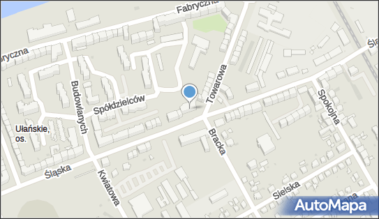 Transport Karol Koperski, Śląska 84A, Gorzów Wielkopolski 66-400 - Przedsiębiorstwo, Firma, NIP: 5993209600