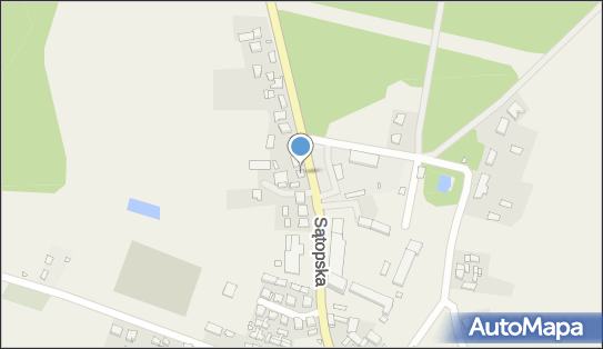 Transport Krajowy i Międzynarodowy, Sątopska 11, Bukowiec 64-300 - Przedsiębiorstwo, Firma, NIP: 7881037371