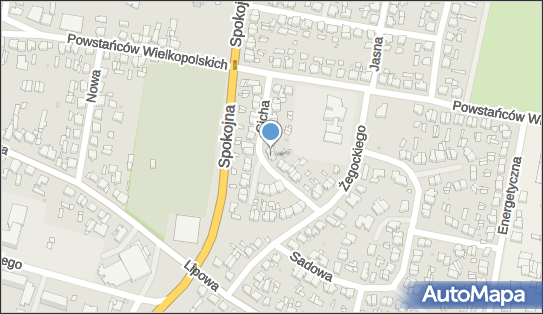 Transport Krajowy i Zagraniczny, Cicha 15, Wolsztyn 64-200 - Przedsiębiorstwo, Firma, NIP: 9231006757